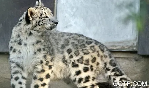 �й�����԰Э��