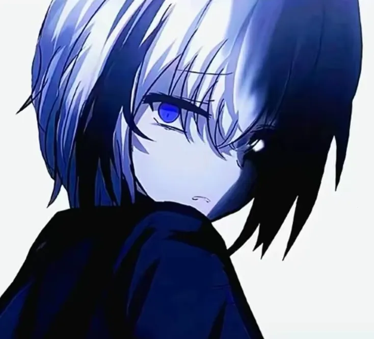 ����������2026���°汾v10 �ֻ���