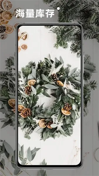 神仙壁纸2026官方正版 神仙壁纸2026官方正版