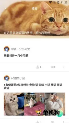 握爪2026最新版本 握爪2026最新版本