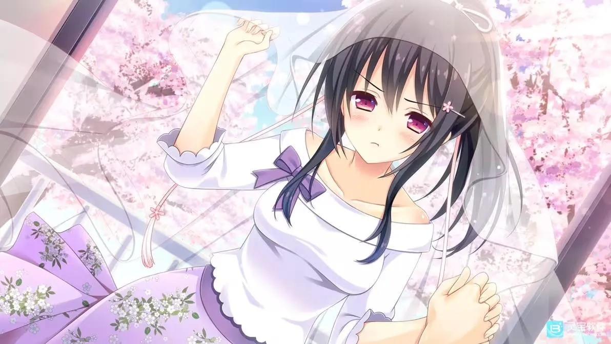 寄宿之恋 寄宿之恋