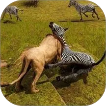 ��Ұ����ģ��2026����v1.0 ��Ѱ�