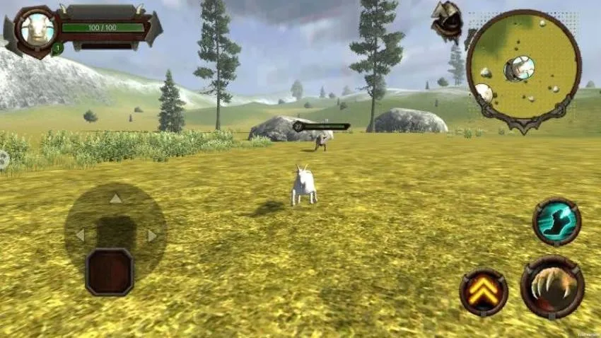 ��Ұ����ģ��2026����