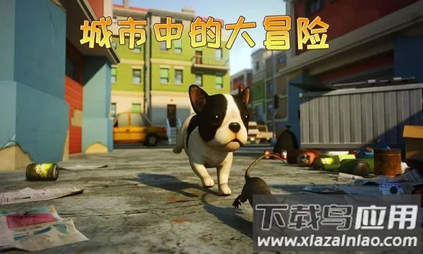 小猫历险记2026最新版本 小猫历险记2026最新版本