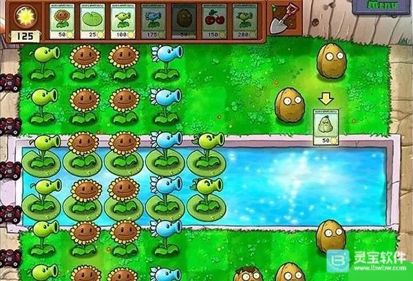 植物大战僵尸CL2026官方正版 植物大战僵尸CL2026官方正版