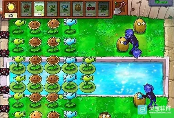 植物大战僵尸CL2026官方正版 植物大战僵尸CL2026官方正版