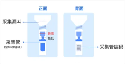 ����2026�ٷ�����