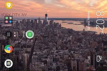 ������̬��ֽ2026����