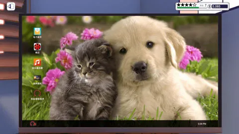 �����Գ���