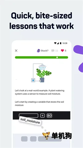 SoloLearn2026下载安装 SoloLearn2026下载安装