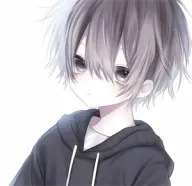 �����������ٷ���Ѱ�v990 ��Ѱ�