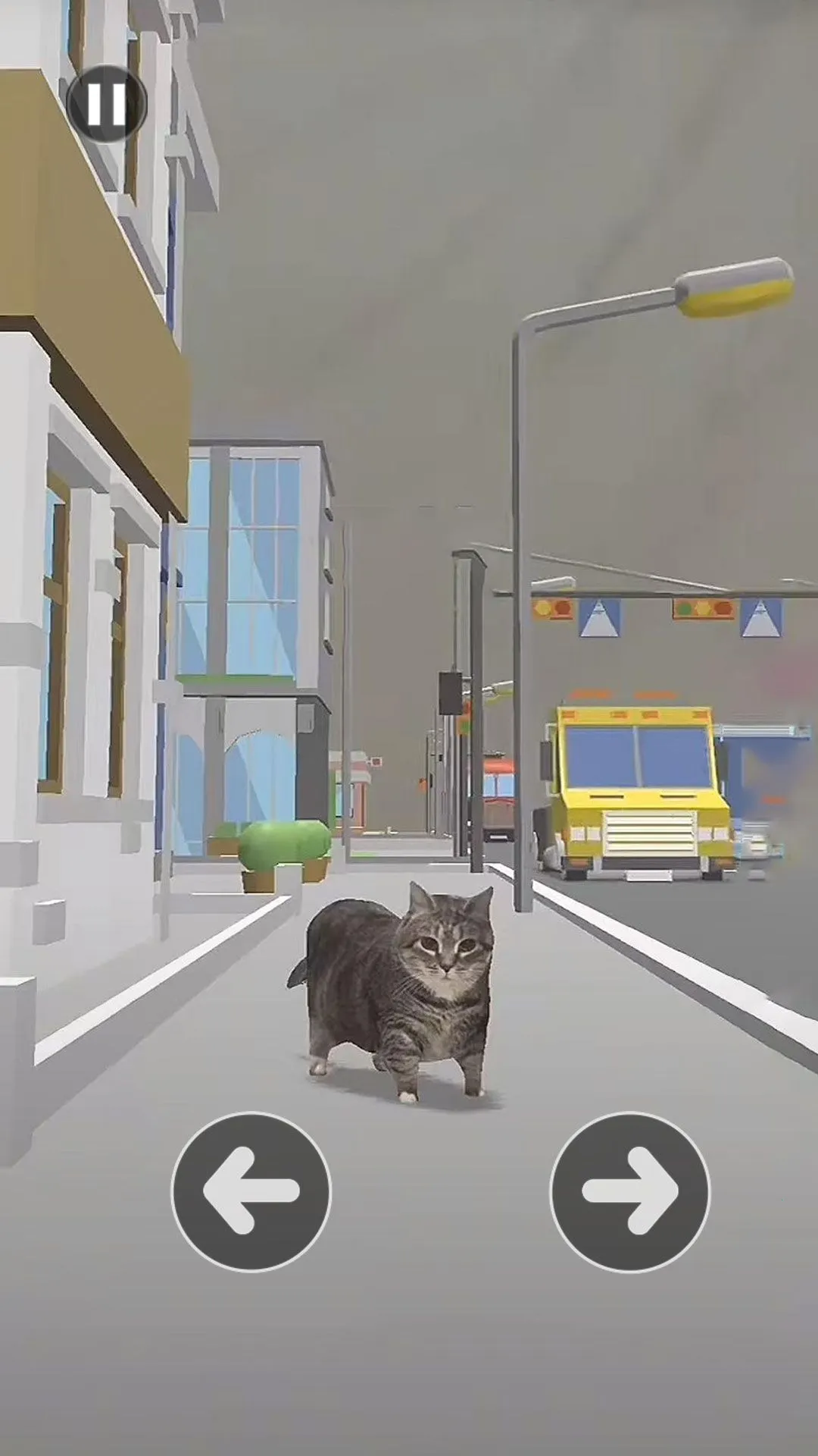 小猫过马路2026最新版本