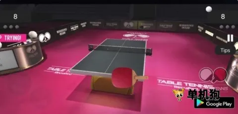 真实乒乓球(模拟乒乓赛)