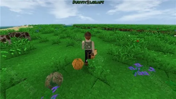 生存战争插件2026官方正版 生存战争插件2026官方正版