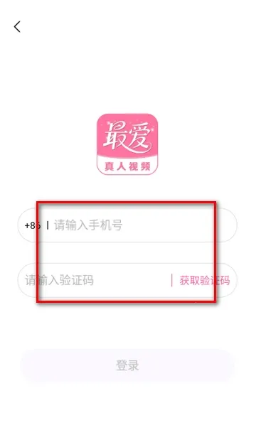 �����2026����