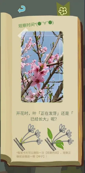 老农种树星座冬季2026下载