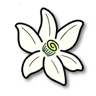 �Ȼ�ģ������׿���ֻ���v0db2f72e8 app