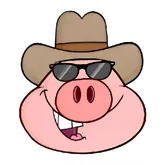 �˽������ⰲ׿���ֻ���v1.0.0 �ֻ���