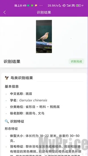 ʶ��(����ʶ�𹤾�)