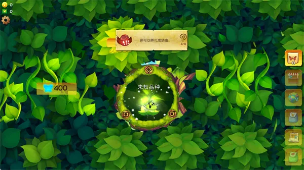 ������������������ӫ���