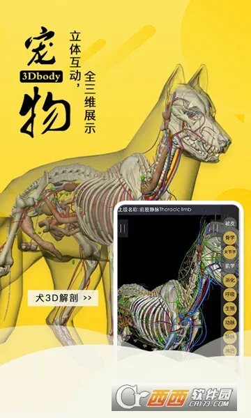 3dbody宠物破解版 3dbody宠物破解版
