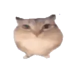 �ͰͲ�һ(δ�ἰ���幦���޷�����)v1.0 app