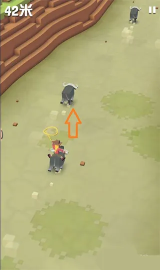 �ҵ���������԰��������