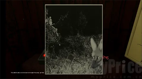 动物观察员恐怖游戏 动物观察员恐怖游戏