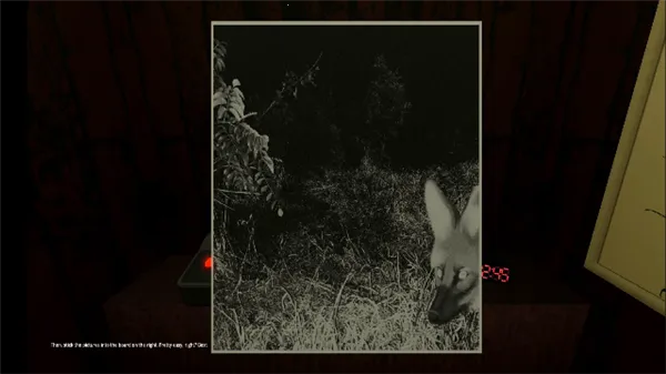 动物观察员恐怖游戏 动物观察员恐怖游戏