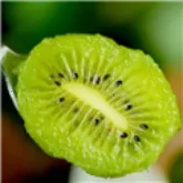 ��⨺���TV2026���ذ�װv9.9.9 app