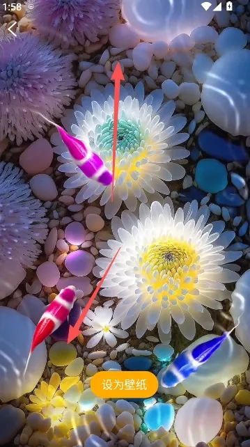 ��������ֽ�����ֻ���