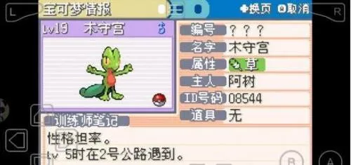 �ڴ������εĹ��(������ð����Ϸ)