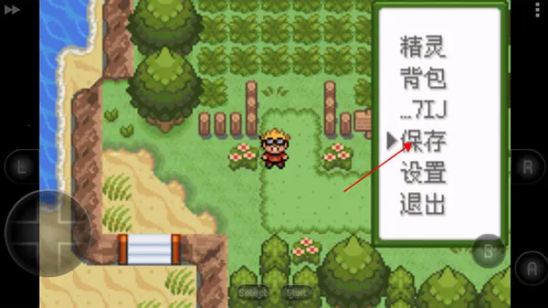 �ڴ��������뱦������