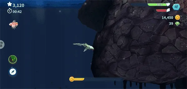 ���������2026����