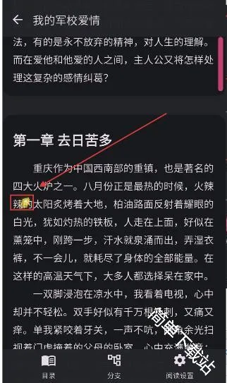 曼波AI2026官方最新版本 曼波AI2026官方最新版本