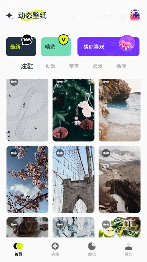 主题库Pro 主题库Pro