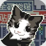 喵师傅，你是干什么的？(会贴膜的猫游戏)v1.0 安卓版