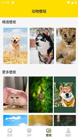 兔子表情包(表情包制作软件)