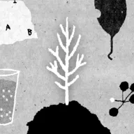 她的树安卓版手机版v1.51 手机版