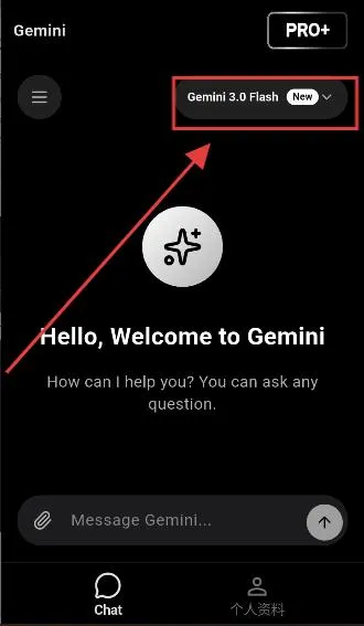 GeminiPro(智能AI助手) GeminiPro(智能AI助手)