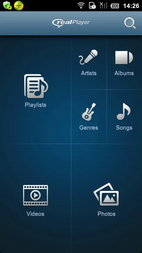 realplayer������