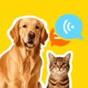 �ȳ�è����ѷ���2026���°汾v1.0.2 ��׿��