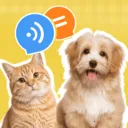 è�����ｻ�����������ֻ���v1.0.2 app