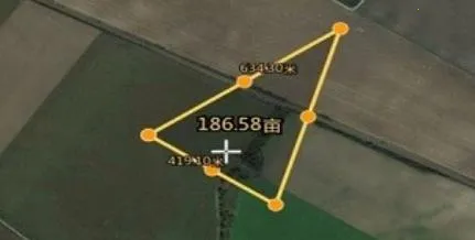 ��Ķ��2026�ٷ�����