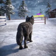 ��ģ���� 3D2026���ذ�װv1.0.6 �ٷ�����