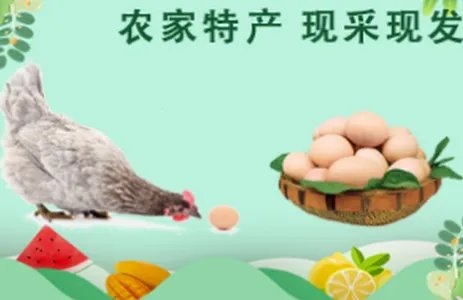 淮滨点点2026下载安装 淮滨点点2026下载安装