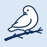 BB空间第三方B站(bbspace(哔哩哔哩第三方应用)v1.4.9 官方正版