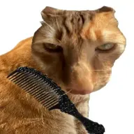 给猫梳毛最新手机版v1.0 app