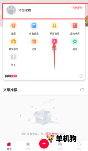 铲屎官的日常(宠物养宠服务)