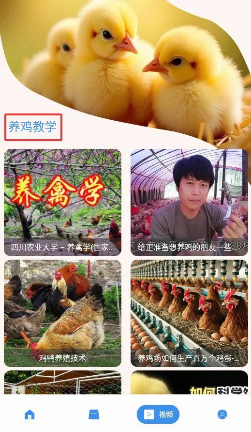 养鸡宝2026下载安装